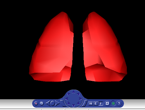 Pulmones